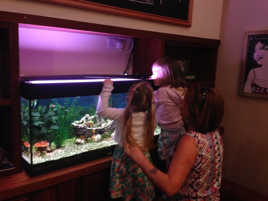 利特里姆码头酒店 Carrick on Shannon 外观 照片